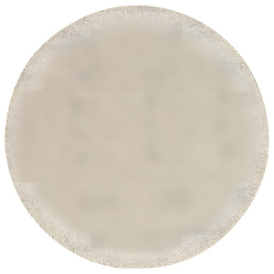 Круг шлифовальный 125 мм P80 (сетчатая основа, 1шт.) Best for Wood + Paint BOSCH 2608621144