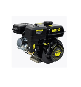 Двигатель бензиновый DM719