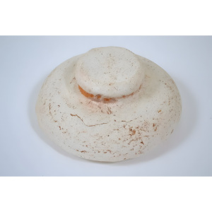 Колпачок средний