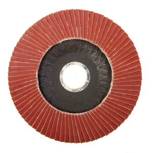 Круг лепестковый торцевой 150х22 Р150 (№10)