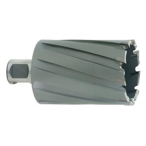 Фреза по металлу 27 х 55 мм (Weldon 19) HSS METABO 626536000